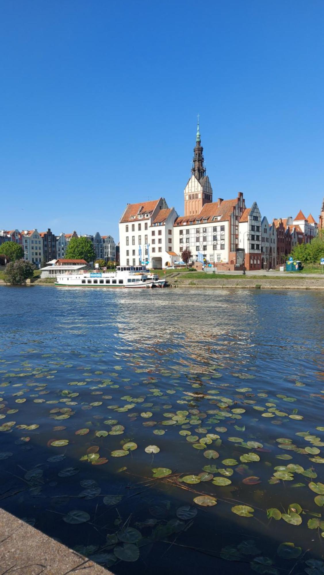 Stare Miasto Kwiaty エルブロンク エクステリア 写真